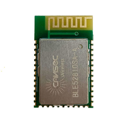 BLE Nordic NRF52810 Module 1uA Cansec Wireless BLE52810SA-A
